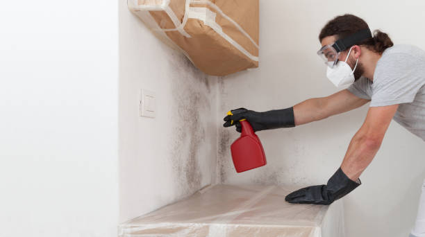 Professional Mold Remediation technician working in Christmas, FL